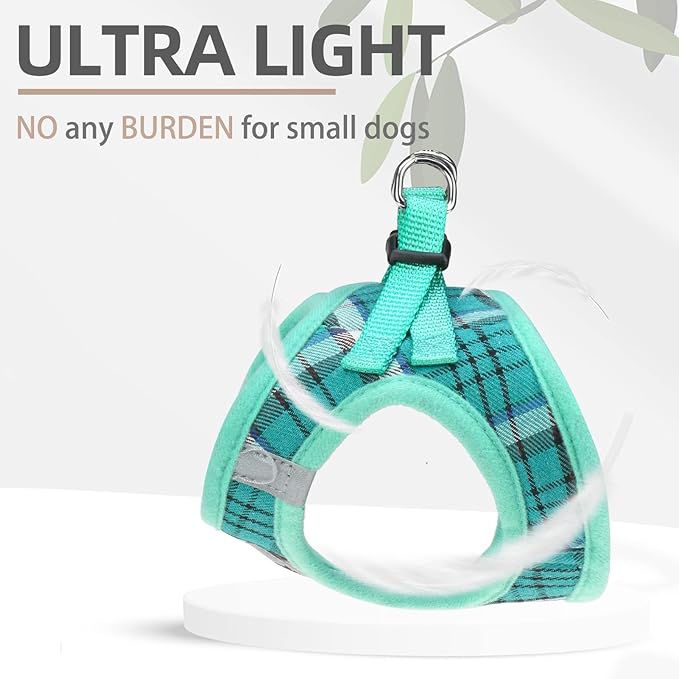 PUPTECK Adjustable Dog Harness Collar and Leash Set Step in No Pull Pet Harness - Image 6