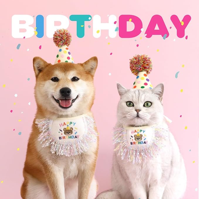 Cat Birthday Bandana Scarf and Party Hat Cute Tassels Bib Scarf and Birthday - Image 4