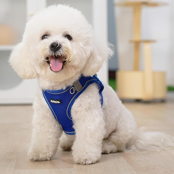 AIITLE Comfortable Dog Harness and Leash Set - Image 7