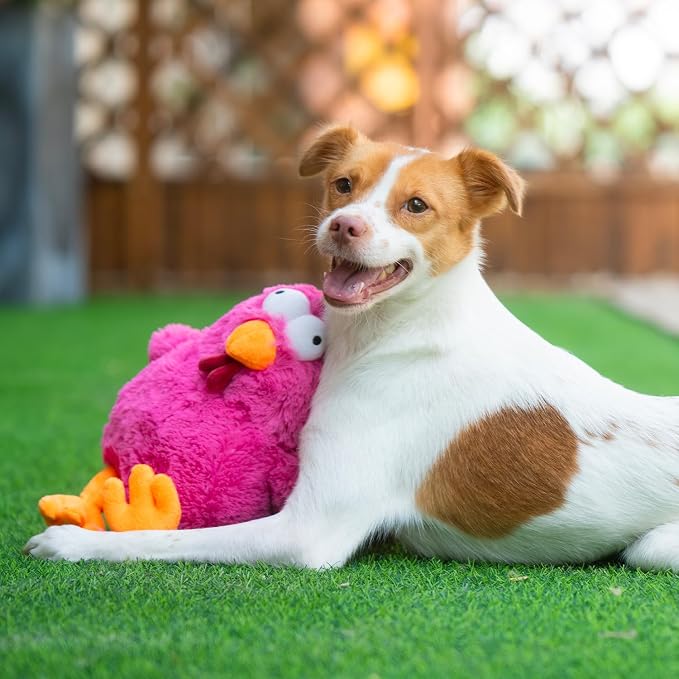 Best Pet Supplies Interactive Squeaky Dog Chew Toy, Ideal Dog Toys - Image 6