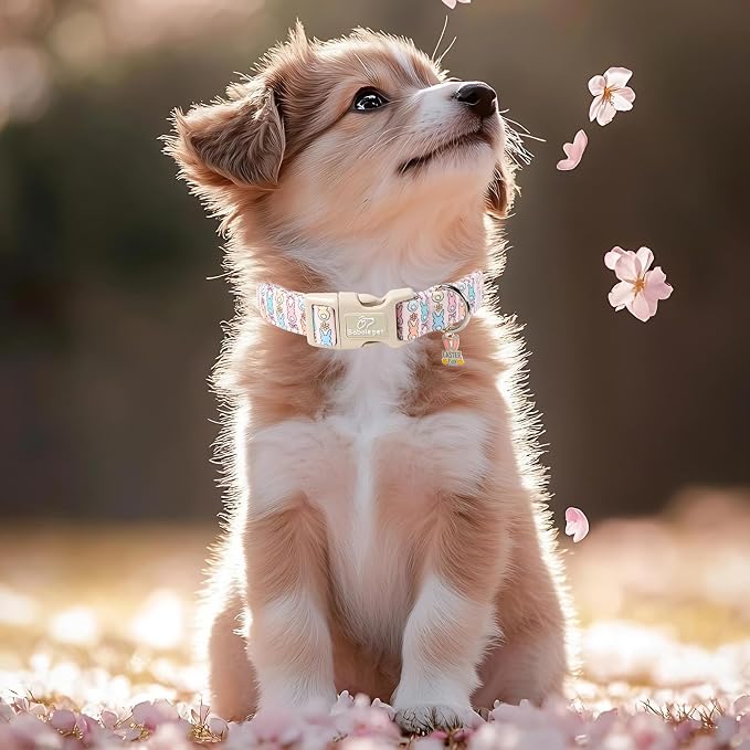 Easter Dog Collar for Small Dogs - Image 7