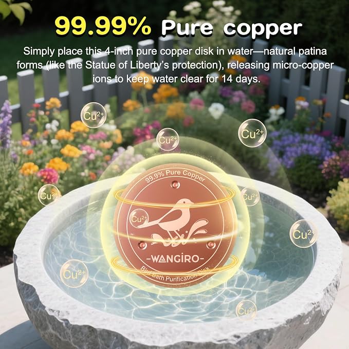 Bird Bath Copper Disk 2PCS-99.99% Pure Copper Purification Disk 1 mm Thick - Image 3