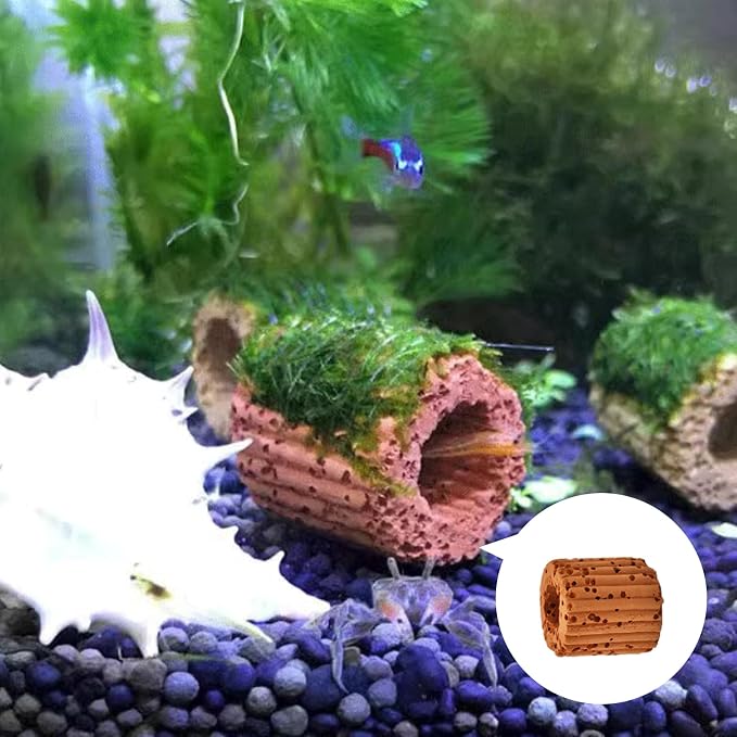 16 Pack Aquarium Plant Weights, Aquatic Plants Fixed Ring Set, Anti-Floating - Image 7
