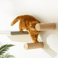 2-Pack Sisal Wall-Mounted Cat Climbing Wall Steps, Cat Wall Steps/Stairs by CallicoHaven