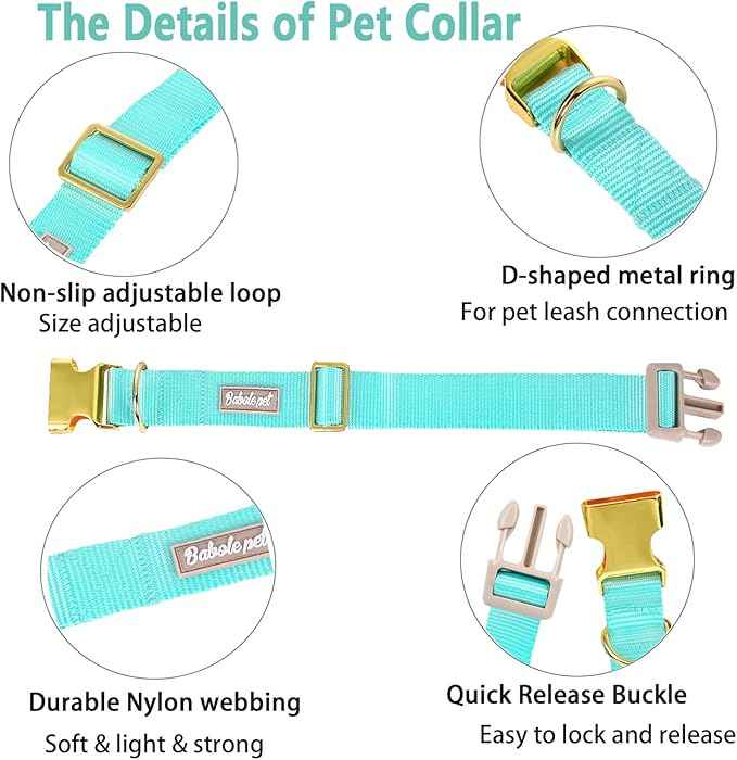 Nylon Dog Collar