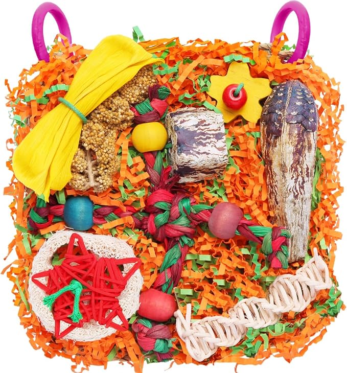 Bird Toys for Small & Medium Parrots by YIXUND