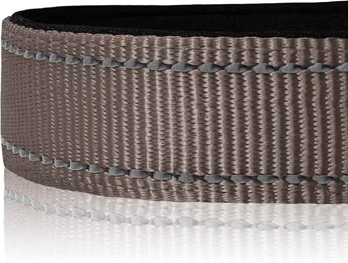 Joytale Reflective Dog Collar, Soft Neoprene Padded, Metal D-Ring, Nylon Pet