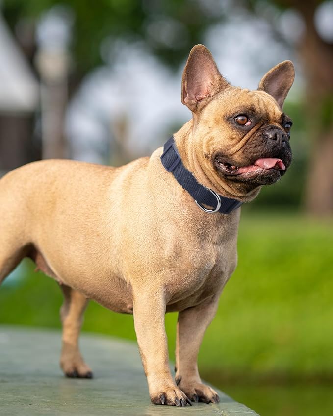 Dynmeow Soft and Breathable Cotton Dog Collar, Durable Adjustable Pet Collar - Image 7