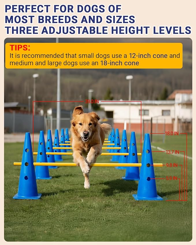 Dog Agility Course Backyard Set, Dog Agility Hurdle Cone Set - Image 2