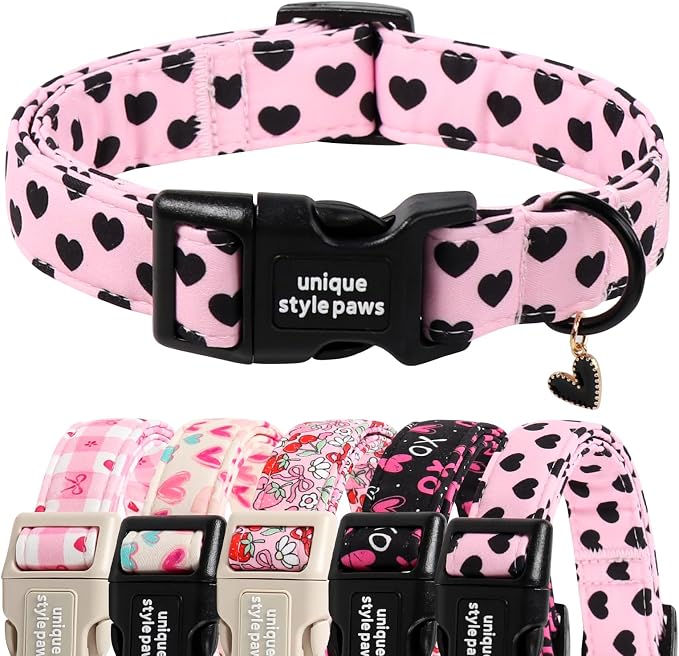 Unique Style Paws Valentine Dog Collar Plastic Buckle by Uniquestylepaws