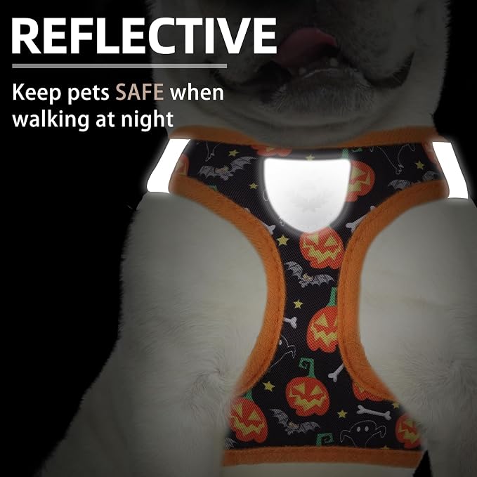 PUPTECK Adjustable Dog Harness Collar and Leash Set Step in No Pull Pet Harness - Image 5