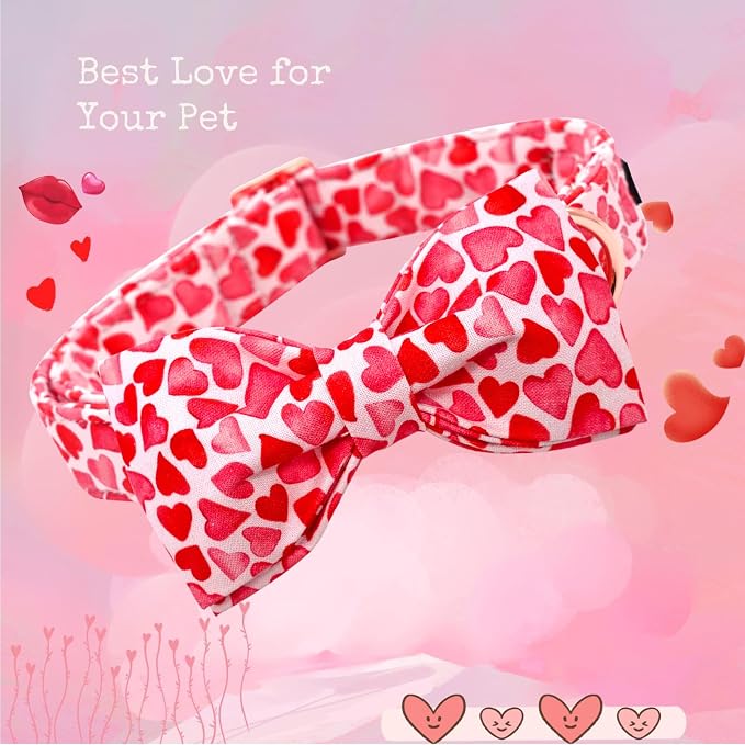Lionheart glory Dog Collar - Image 3