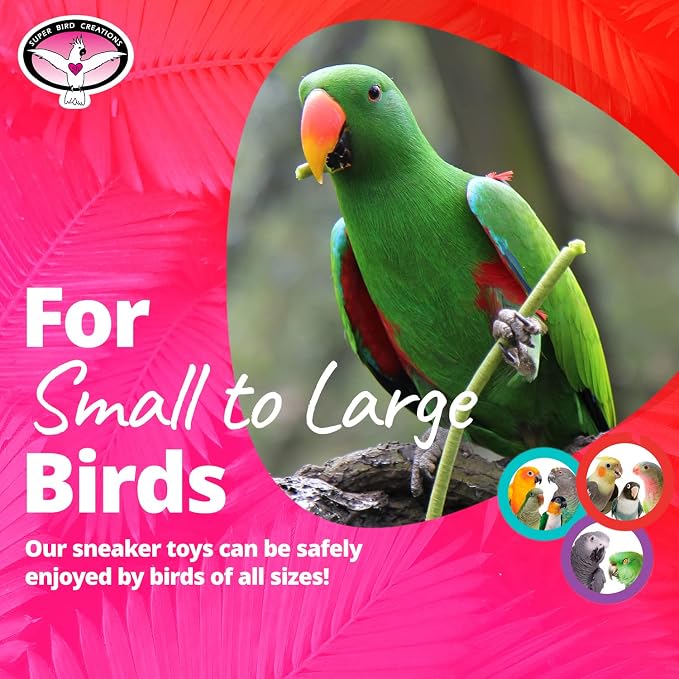 Super Bird Creations SB50009 Sneaker Bird Toy - Image 3