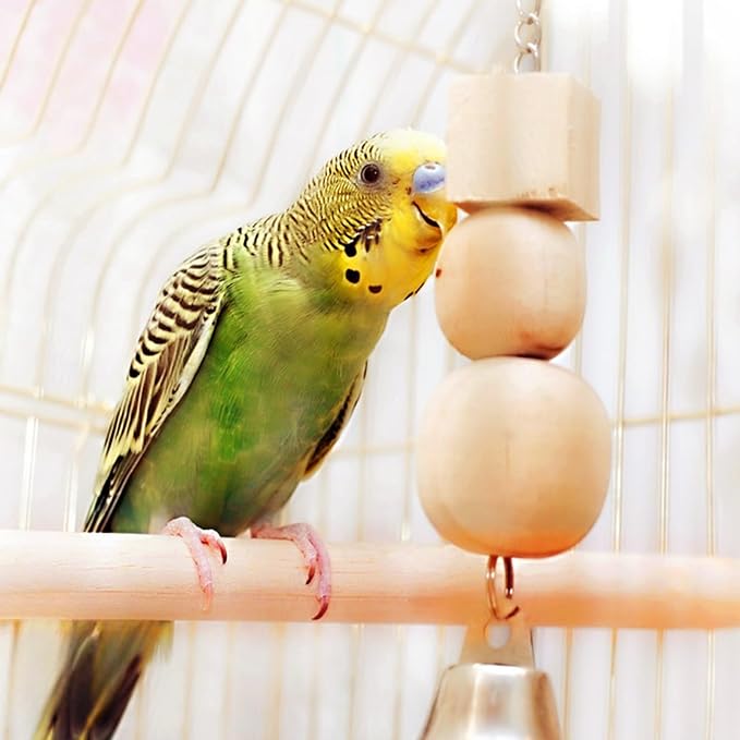 Bird Perch Wooden Parrot Perchs Stand, Small Parakeets - Image 7