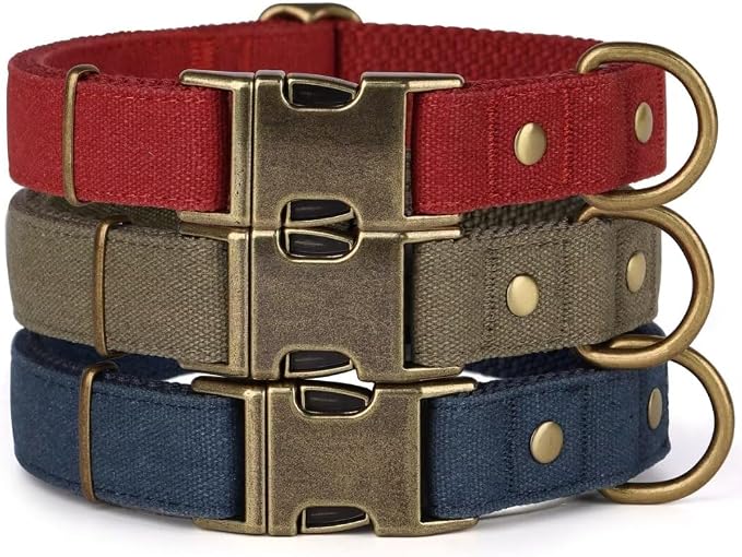 PET ARTIST Dog Collars for Medium Dogs, Soft Padded Premium Nylon Dog Collar by PETARTIST