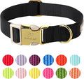 Nylon Dog Collar by Babolepet