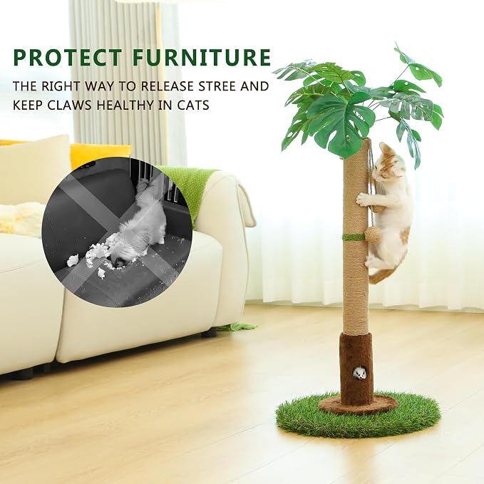 Cat Scratching Post for Indoor Cats and Kitten - Image 4