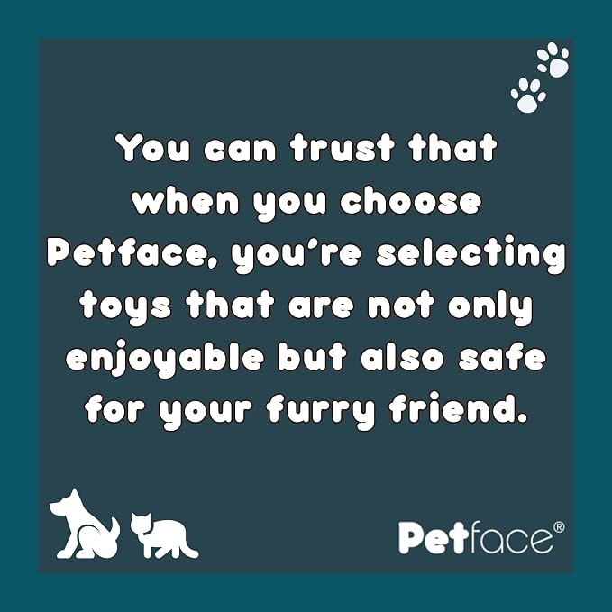 Petface Seriously Strong Rubber Teething Dog Chew - Image 5