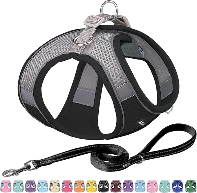 AIITLE Small Harness for Puppy by AIITLE-FORPETSBETTERLIFE