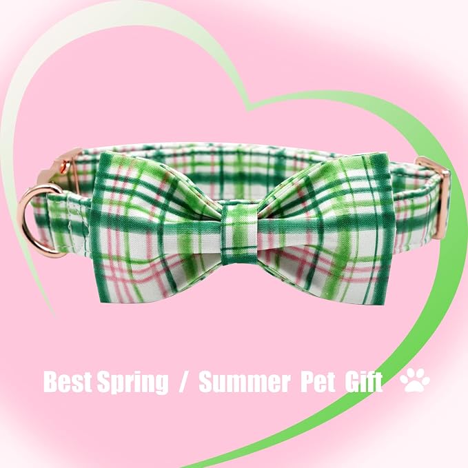 Elegant little tail Dog Collar - Image 3