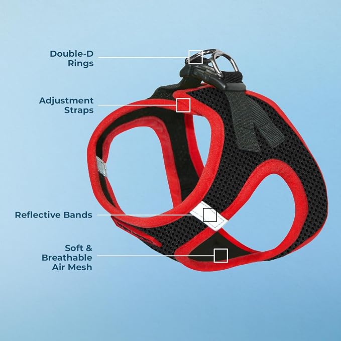 Best Pet Supplies - Image 4