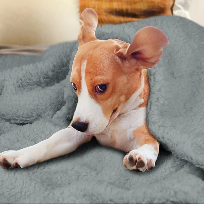 furrybaby Dog Blanket Soft Dog Blankets - Image 4