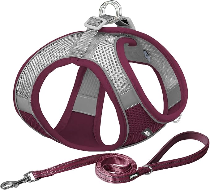 AIITLE Step in Dog Harness and Leash Set by AIITLE-FORPETSBETTERLIFE