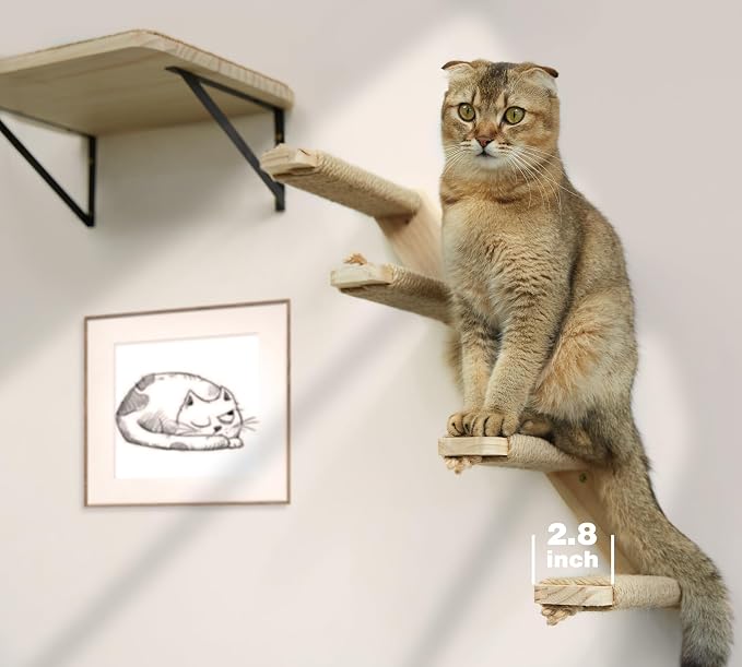 Cat Climbing Stair Shelf Wall Mounted Reversible Left & Right Direction - Image 6