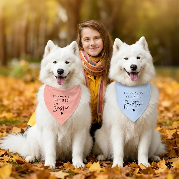 2 Pack Dog Bandanas for Pregnancy Announcement, I'm Going to Be A Big Brother - Image 5