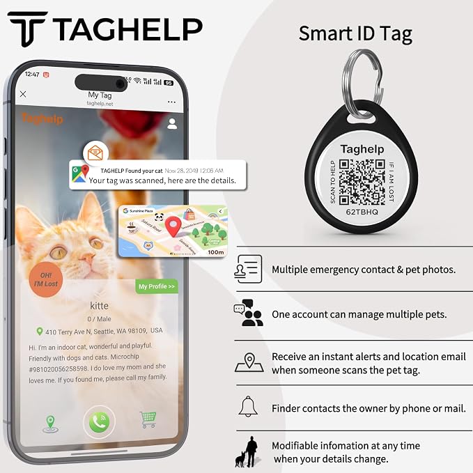The Multi-Cat Household Kit: 5 Universal QR ID Tags. A Complete Set - Image 9