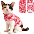 EXPAWLORER Soft Cat Sweater by EXPAWLORER