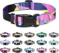 Mercano Adjustable Dog Collar