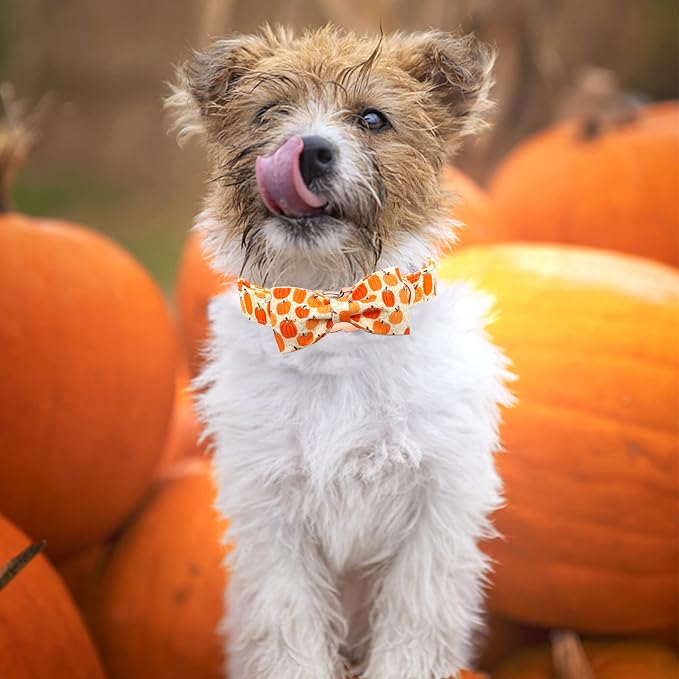Dog Collar - Halloween Pumpkin Bowtie Dog Collar Gift Soft Bow Collar Pet - Image 5