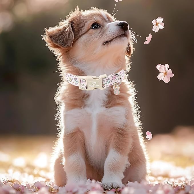 Easter Dog Collar for Large Dogs - Image 7
