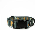 Lucy & Co. Looking Sharp Dog Collar by LucyCo