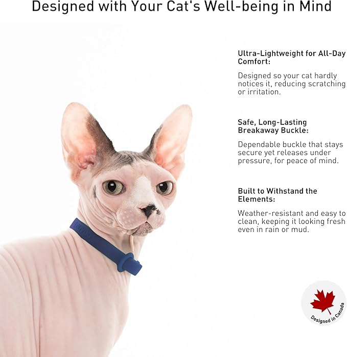 Break Away Collar for Cats - Image 4