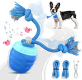 Interactive Dog Toys by Unknown