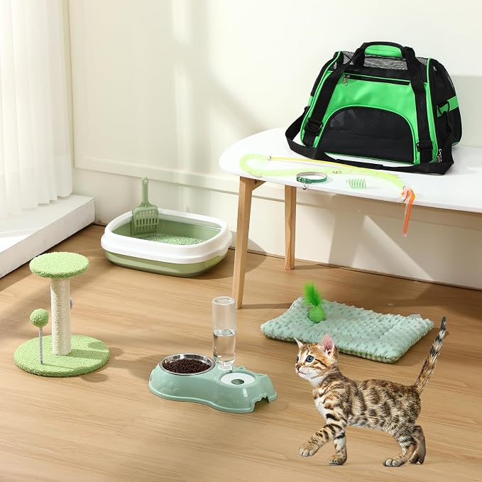 Eccliy Kitten Starter Kit, Pet Toy, Folding Carrier, Climbing Frame, Automatic - Image 2