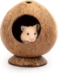 andwe Coconut Hut Hamster House, Small Animal Cage Decor - GlobalHabitat Supply