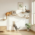 Cat Wall Shelves, Modern Wall-Mounted Cat Furniture Includes House, Perch & by Cakhdry