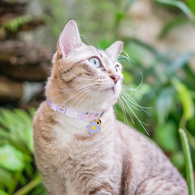 3 Pack Breakaway Cat Collars - Image 6