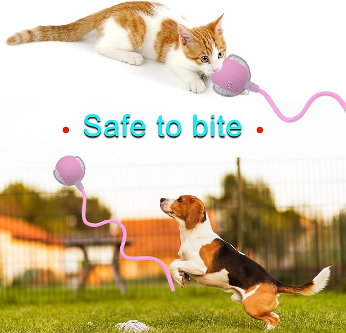 Interactive Cat Dog Toy Ball: Indoor Small Automatic Moving Smart Rolling Fun - Image 5