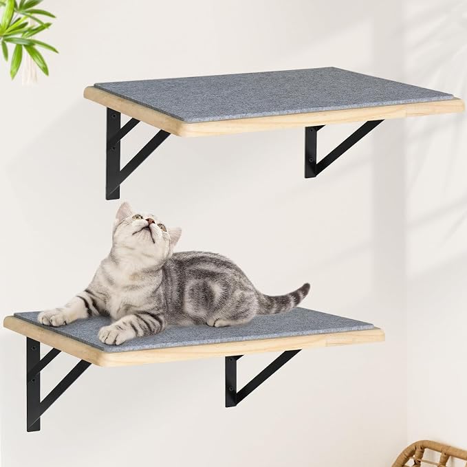Burlywood Cat Furniture Indoor Set of 2: Wood Shelves by GADKE