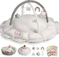 Little Dove 5-in-1 Convertible Baby Play Gym by HAN-MM