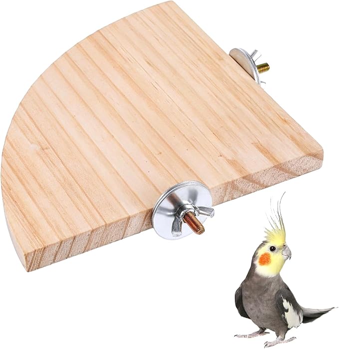 Bird Perch Platform Stand Wooden Parrot Perch Corner 5.9 Inches Fan Shape by Unknown