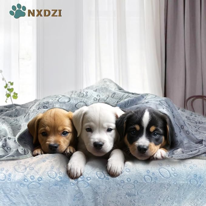 3 Pack Dog Blankets for Small Dogs, Soft Pet Blankets for Cat、Rabbit、Guinea Pig - Image 3