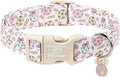 Easter Dog Collar for Medium Dogs by Babolepet
