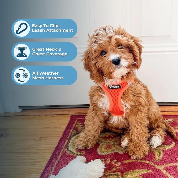 Best Pet Supplies Voyager Step-in Air All Weather Mesh Harness and Reflective - Image 5