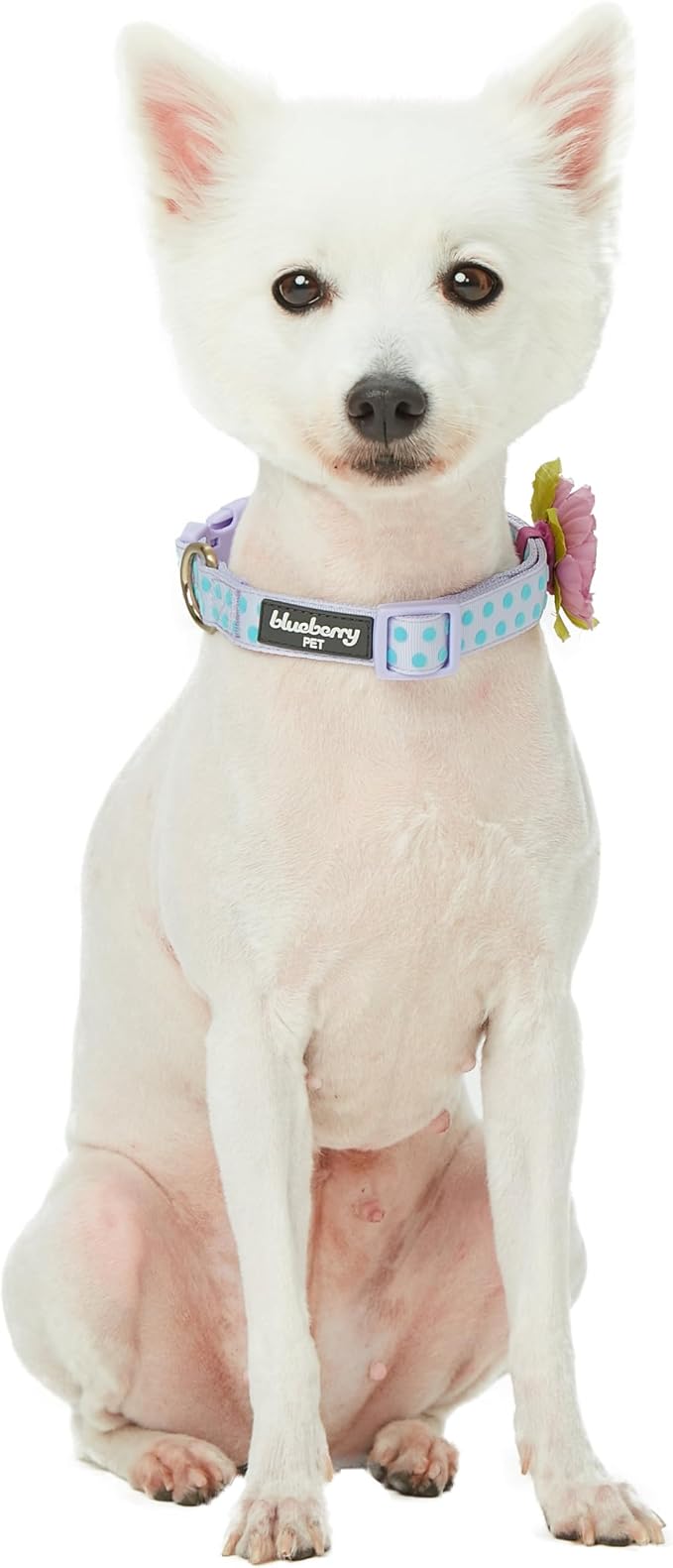 Blueberry Pet Adjustable Flocking Dog Collar - Image 7