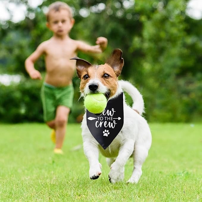 New to The Crew Dog Bandana New Puppy Announcement Gift - Image 5